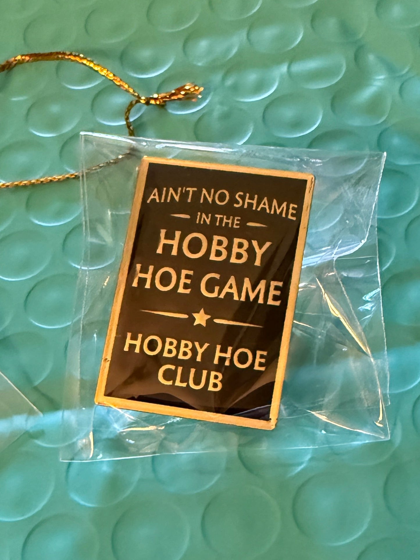 Ain't no shame pin